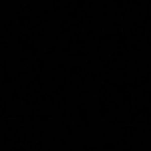 Meet your Posher, Lacy